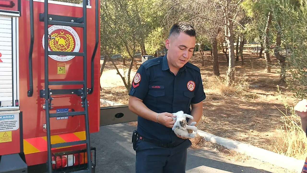 Muğla’da İtfaiyeden Yavru Kedi İçin Yürekleri Isıtan Kurtarma 3